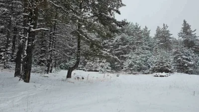 Ankara’da kar yağışı kuzey ilçelerinde etkisini sürdürürken yaylalar beyaza büründü.