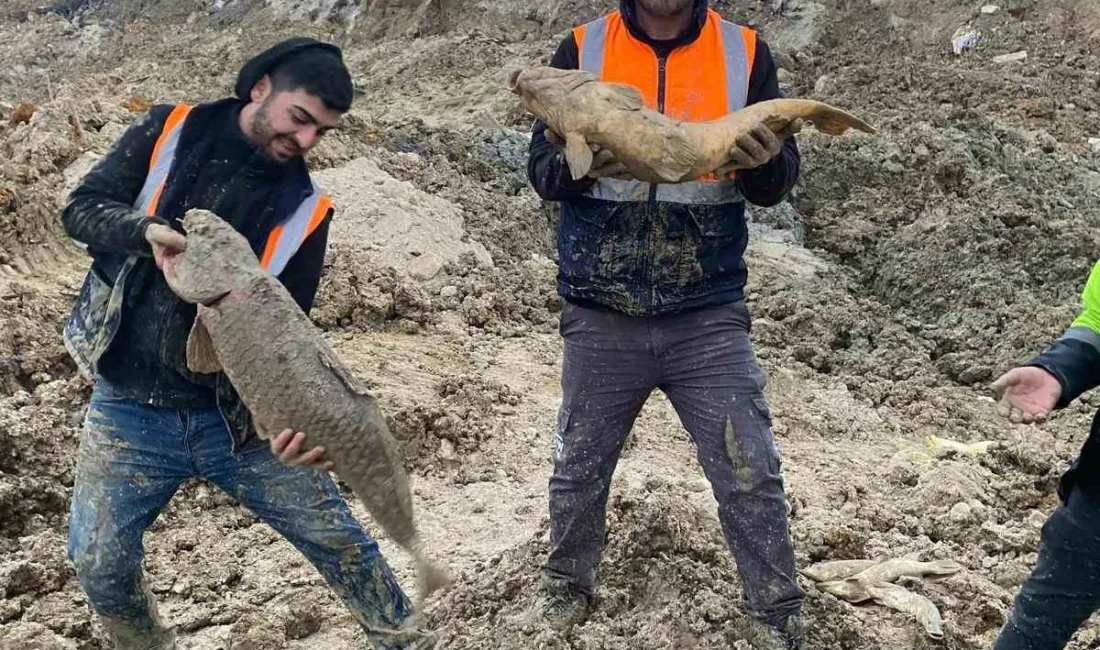 Arnavutköy’de bulunan Bolluca Mavi Göl’ün İstanbul Büyükşehir Belediyesi tarafından dolgu