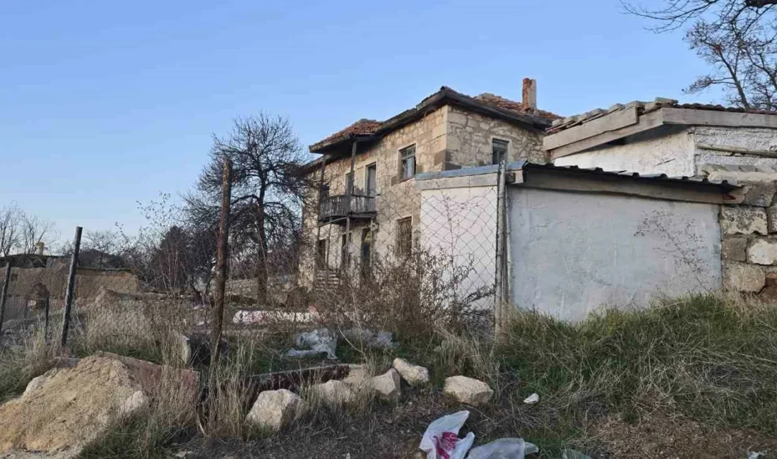 Ankara’nın Haymana ilçesinde, bir evin bahçesinde bağlı olarak tutulan köpeğin