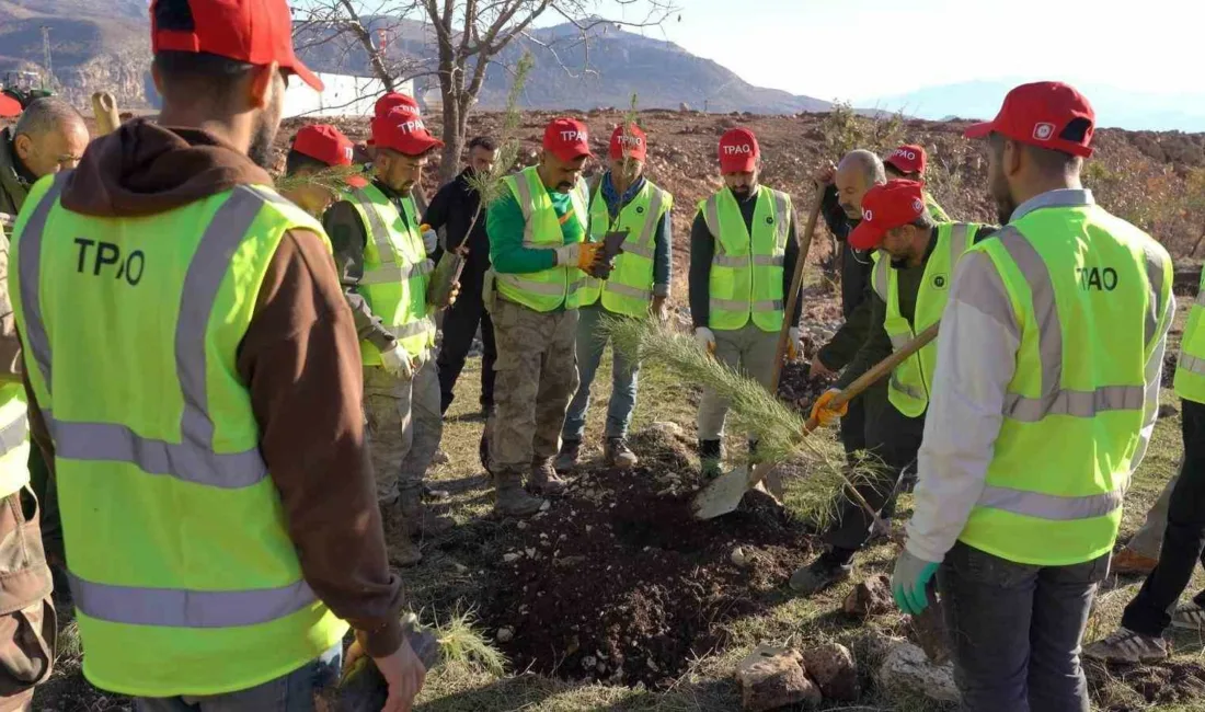 Enerji ve Tabii Kaynaklar Bakanı Alparslan Bayraktar, “100 bin fidan
