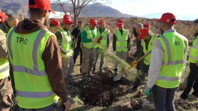 Enerji ve Tabii Kaynaklar Bakanı Alparslan Bayraktar, “100 bin fidan
