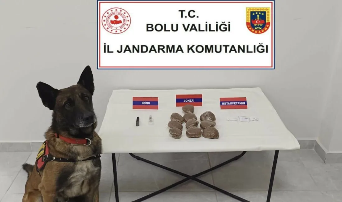 Bolu’da bir otomobilde zulalanmış uyuşturucuyla ilgili 2 kişi hakkında işlem