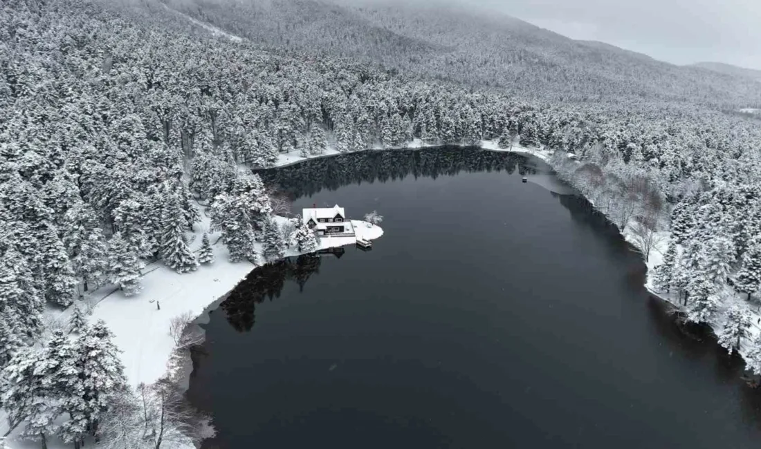 Bolu’nun doğa harikası Gölcük Tabiat Parkı, kar yağışının ardından beyaz