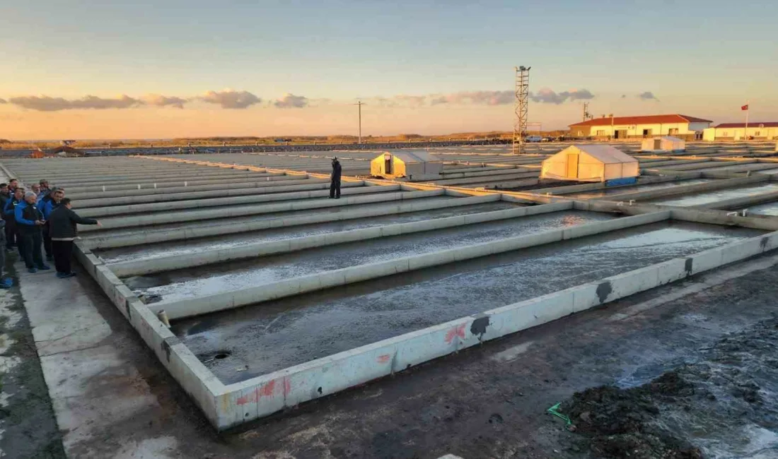 Çanakkale’nin Ayvacık ilçesinde bulunan deniz solucanı türleri yetiştiriciliği tesisi sektörde