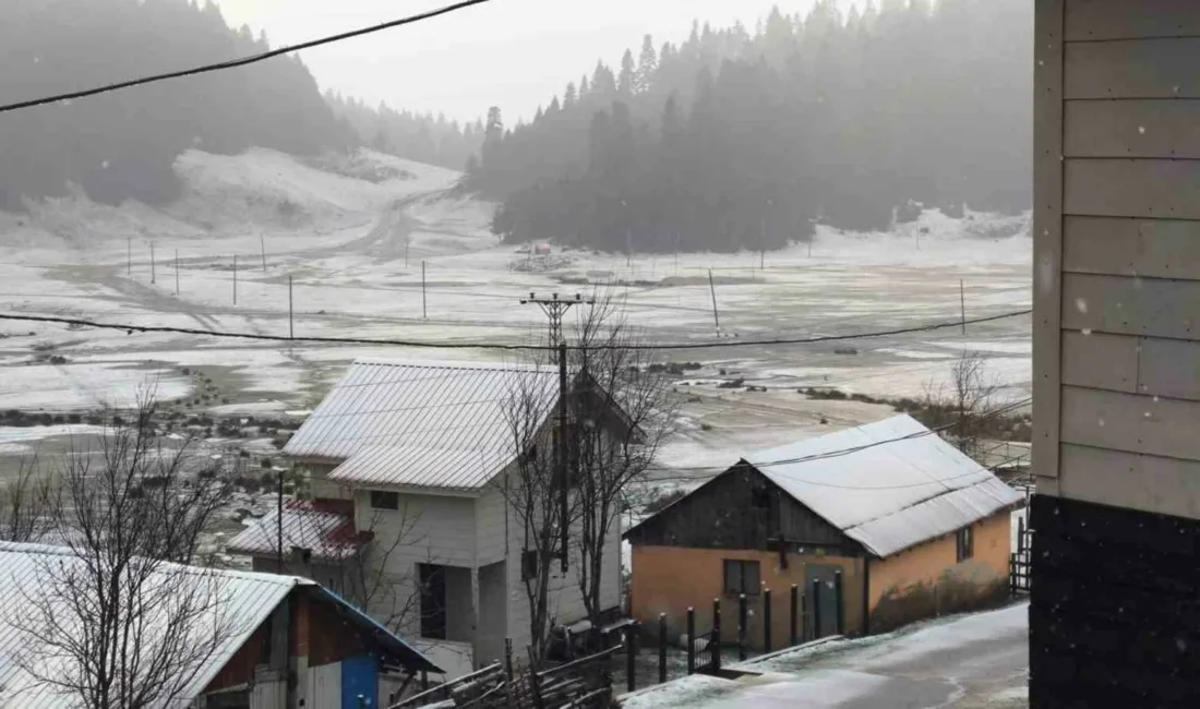 Sakarya’nın Hendek ilçesinde bulunan Çiğdem Yaylası, gece saatlerinde başlayan kar