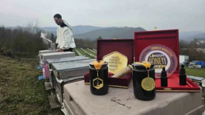 Zonguldak’ta yaşayan Akosman çifti, 9 yıl önce 40 kovanla başladıkları