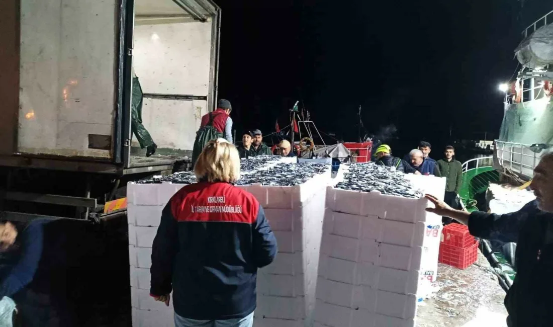 Kırklareli’nin Demirköy ilçesine bağlı İğneada beldesinde kontrollerini sürdüren İlçe Tarım