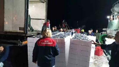 Kırklareli’nin Demirköy ilçesine bağlı İğneada beldesinde kontrollerini sürdüren İlçe Tarım