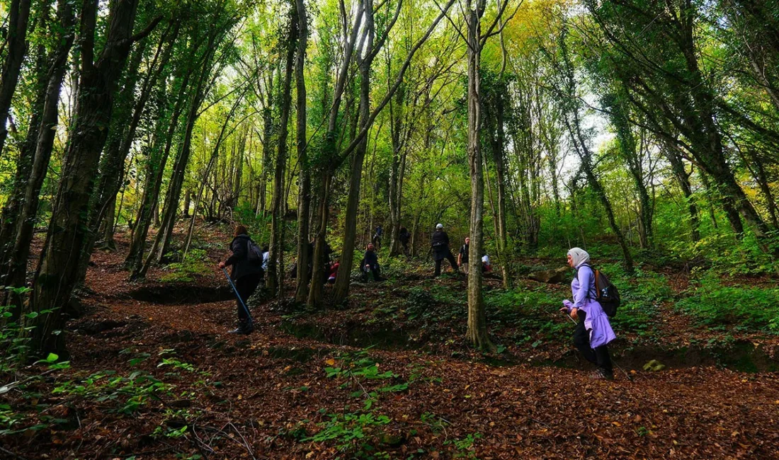 Sakarya Büyükşehir Belediyesi tarafından geleneksel hale getirilen sonbahar doğa yürüyüşleri,