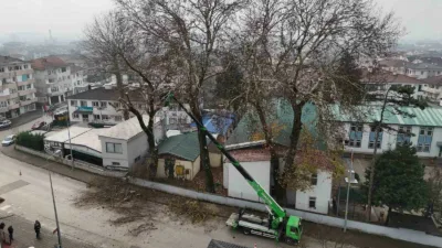 Düzce Belediyesi, kış bakımları kapsamında ağaçları budama çalışmalarına devam ediyor.