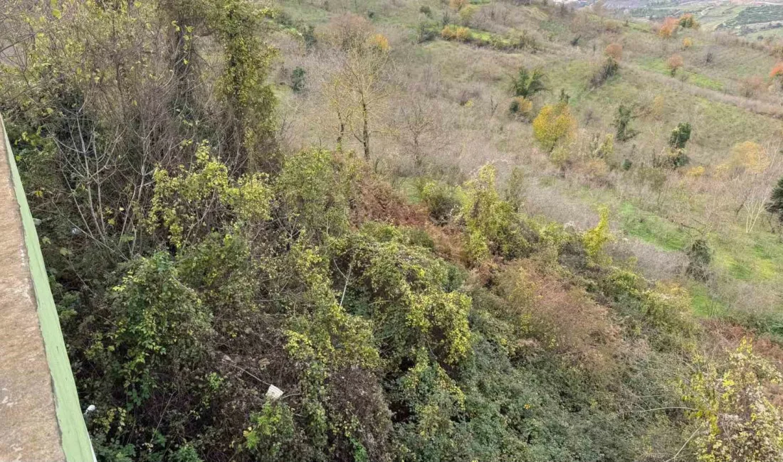 Zonguldak’ın Alaplı ilçesine bağlı 80 haneli Büyük Tekke Köyü’nde, iki