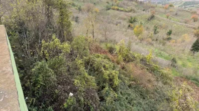 Zonguldak’ın Alaplı ilçesine bağlı 80 haneli Büyük Tekke Köyü’nde, iki