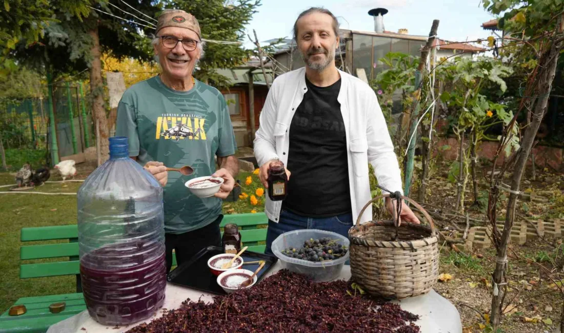 Karadeniz’de yetiştirilen ve barındırdığı bol resveratrol sayesinde kanser dokularının oluşumunu,