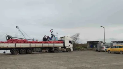 Kastamonu’nun İnebolu ilçesinden çıkartılan beyaz kum midyeleri, ekipler tarafından denetleniyor.