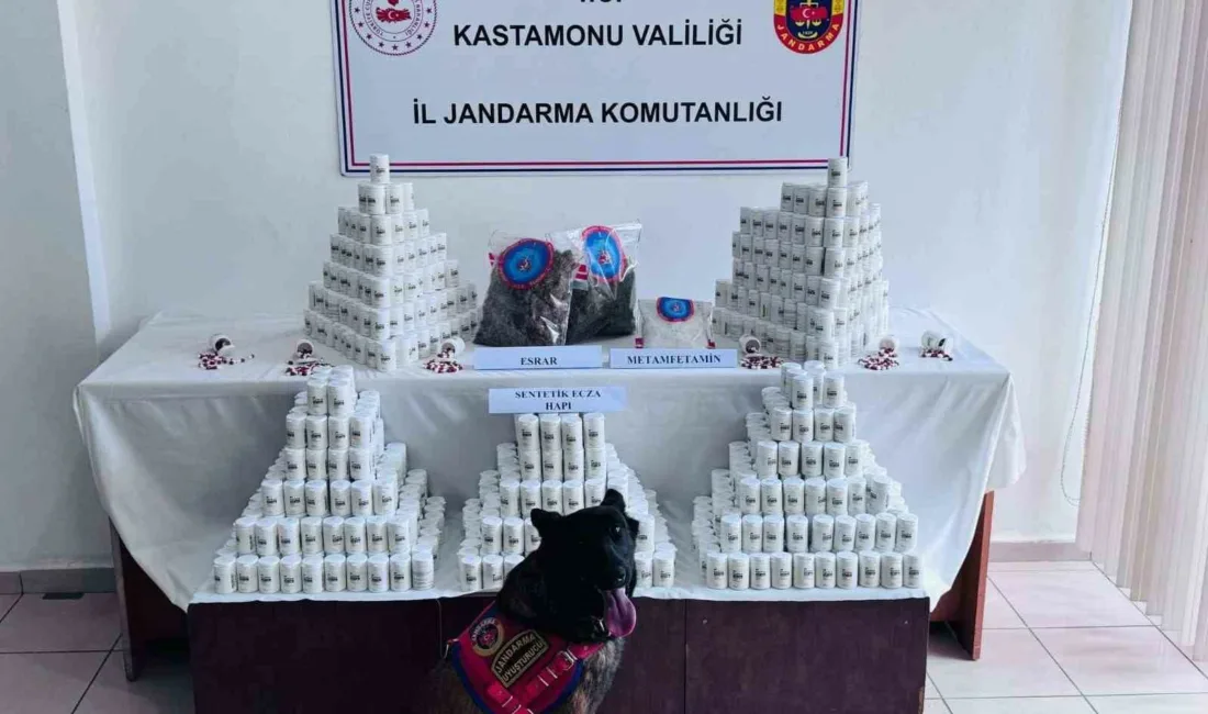 Kastamonu’da 69 bin 407 adet sentetik ecza hapı, 975 gram