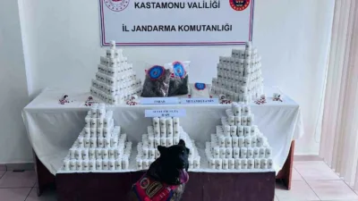 Kastamonu’da 69 bin 407 adet sentetik ecza hapı, 975 gram