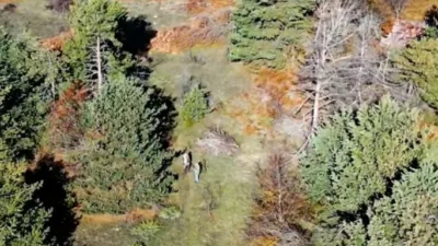 Kastamonu Doğa Koruma ve Milli Parklar Müdürlüğü ekipleri tarafından yürütülen