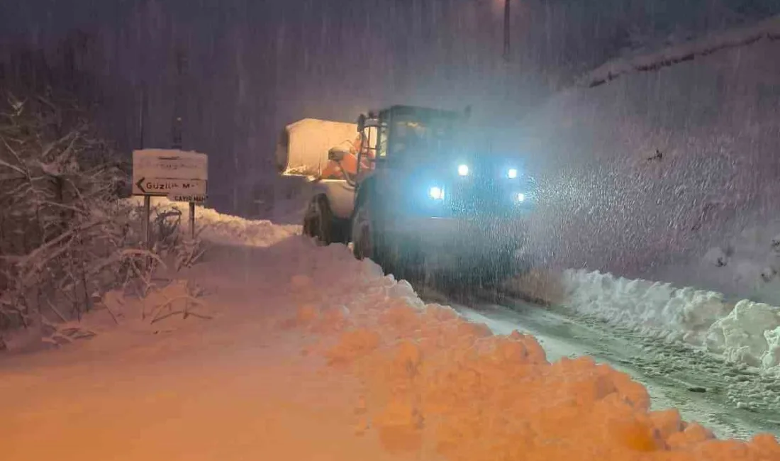 Kastamonu’da kar yağışı sebebiyle yolu kapanan köy sayısı İl Özel