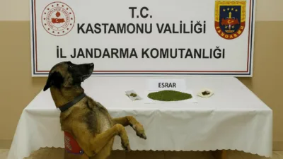 Kastamonu’da jandarma ekipleri tarafından uyuşturucu maddeyle yakalanan 1 şüpheli tutuklandı.