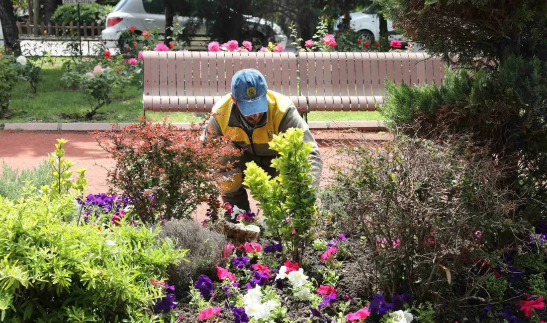 Keçiören’de serada yetiştirilen çiçekler ilçedeki parklarda, yürüyüş yollarında ve yeşil