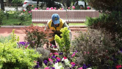 Keçiören’de serada yetiştirilen çiçekler ilçedeki parklarda, yürüyüş yollarında ve yeşil