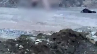 Kocaeli’nin İzmit ilçesinde köprü altında yaşanan garip olay, görenleri hem