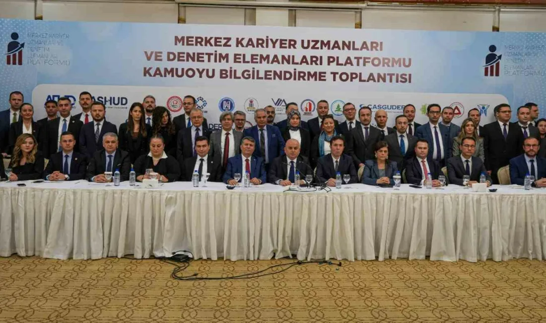 Merkez Kariyer Uzmanları ve Denetim Elemanları Platformu, merkez teşkilatında görev