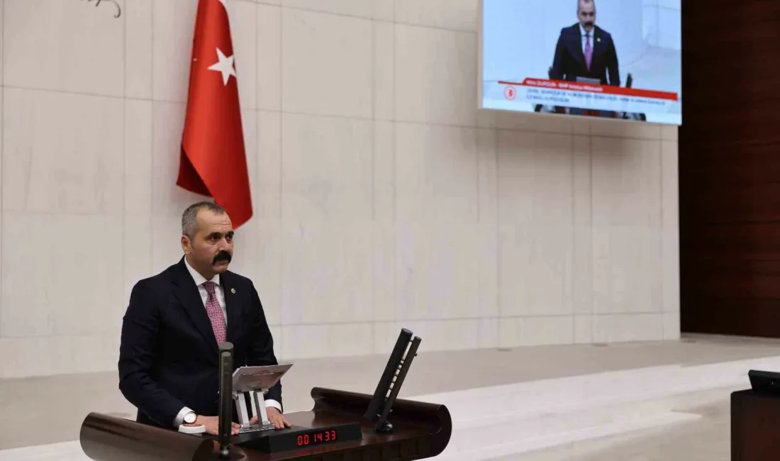 Milliyetçi Hareket Partisi (MHP) Antalya Milletvekili Hilmi Durgun, “Pestisit iddiaları