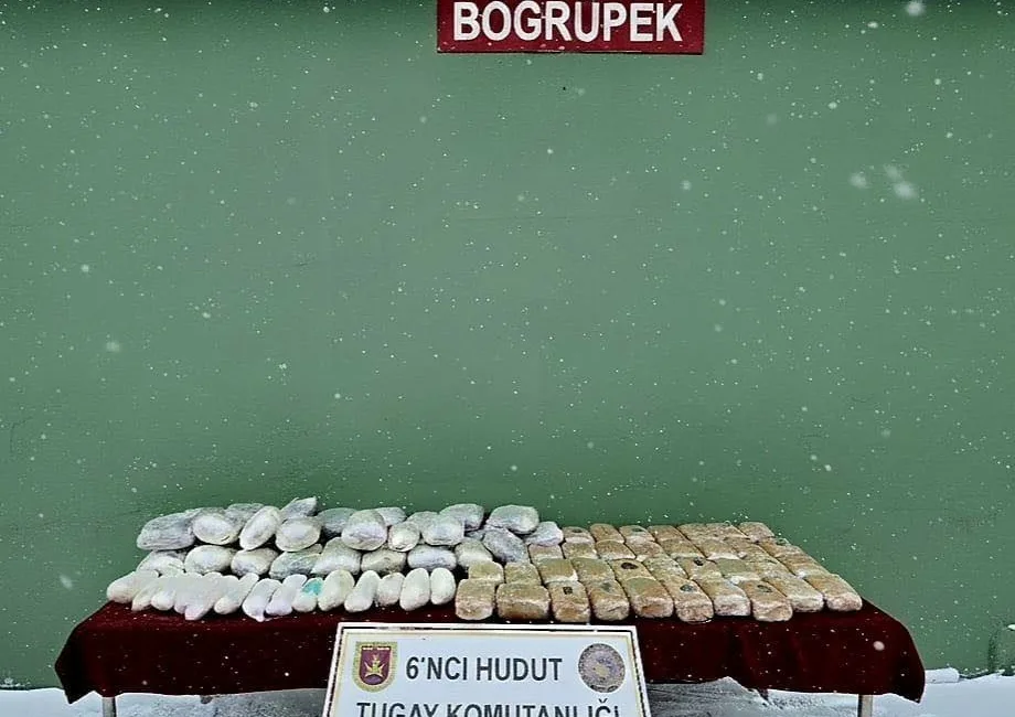 Milli Savunma Bakanlığı (MSB), Van hudut hattında gerçekleştirilen arama tarama
