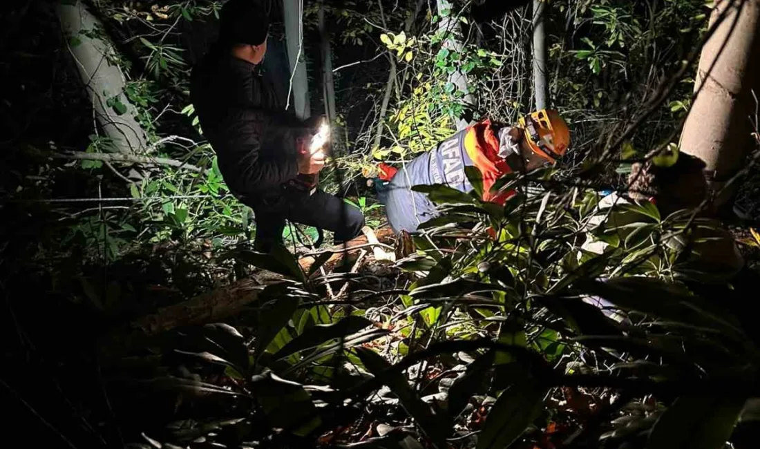 Sakarya’nın Arifiye ilçesinde orman kesim sahasında dengesini kaybederek düşen 24