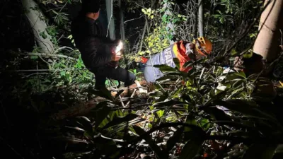 Sakarya’nın Arifiye ilçesinde orman kesim sahasında dengesini kaybederek düşen 24