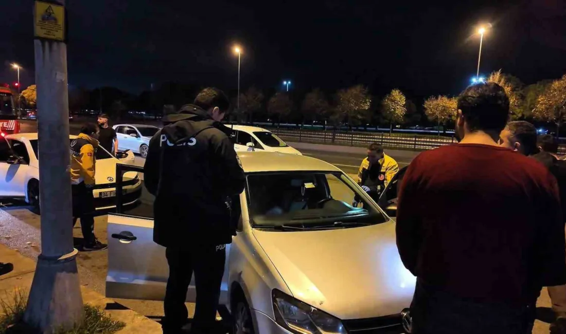 Pendik sahilinde meydana gelen iki ayrı olayda, birbirine yaklaşık 100