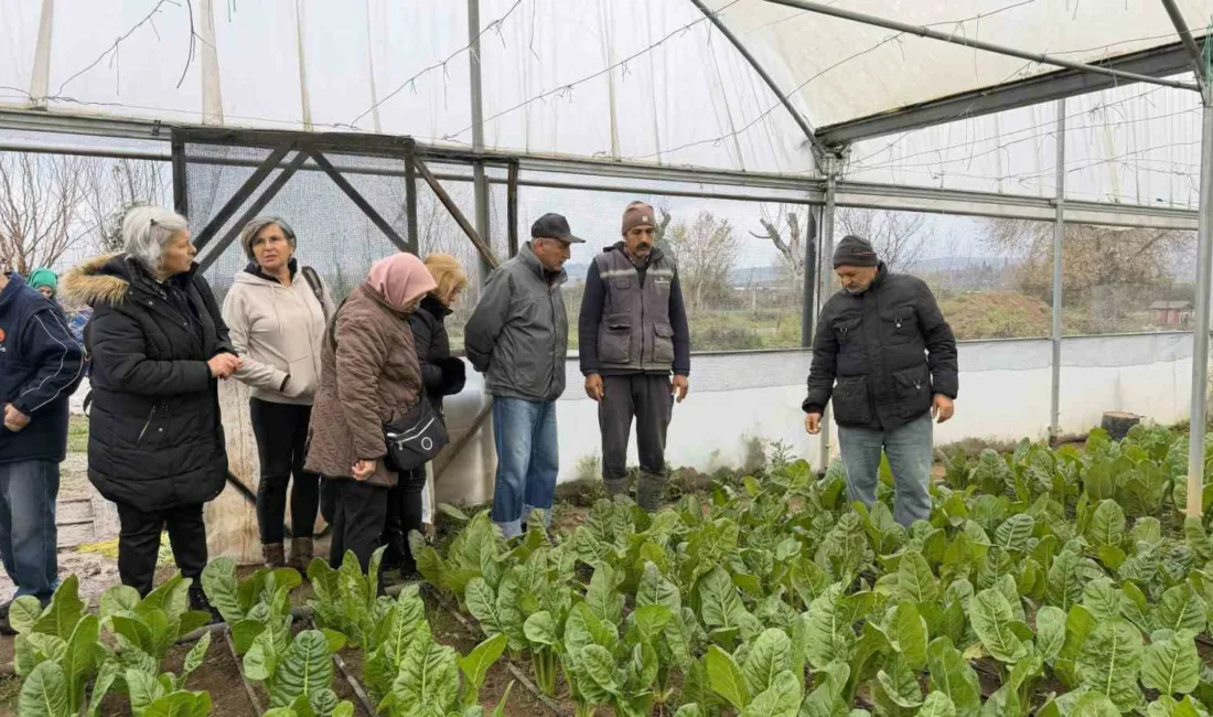 Kocaeli Büyükşehir Belediyesi bünyesindeki “Saygınlar Kulübü” üyesi 65 yaş üstü