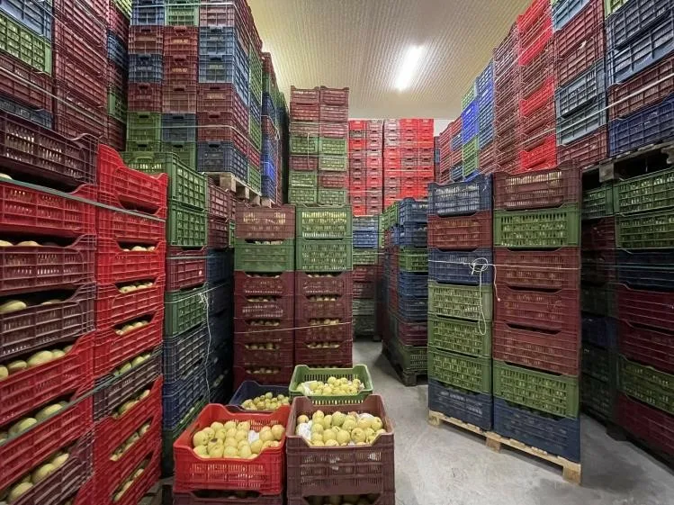 Bilecik’in Osmaneli ilçesinde 2025 yılında hizmete açılan soğuk hava deposu,