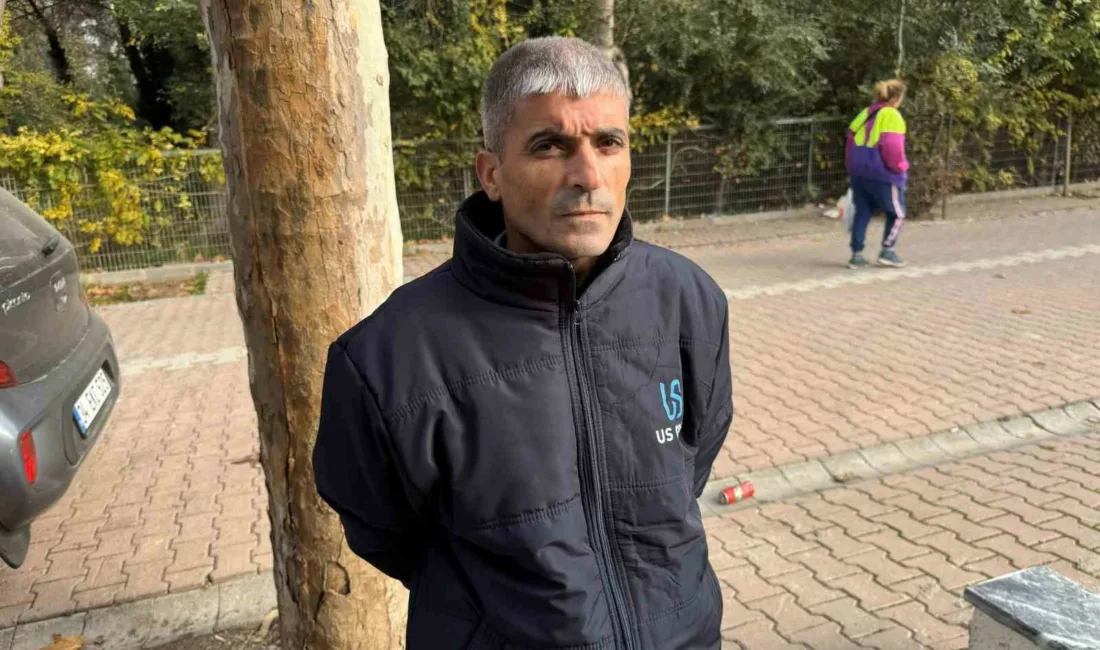 Kocaeli’nin Darıca ilçesinde ağacın dibine bırakılan poşetin içinde bulduğu 60
