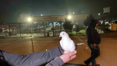 Düzce T Tipi Kapalı Ceza İnfaz Kurumunda 326 mahkum tahliye