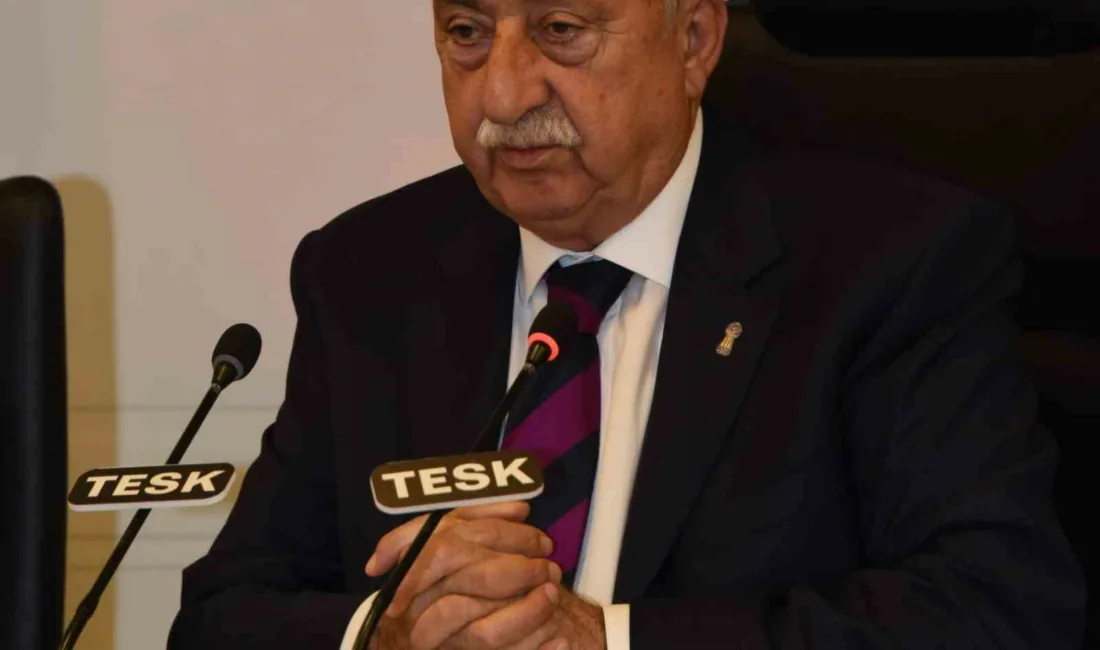Türkiye Esnaf ve Sanatkarları Konfederasyonu (TESK) Genel Başkanı Bendevi Palandöken,