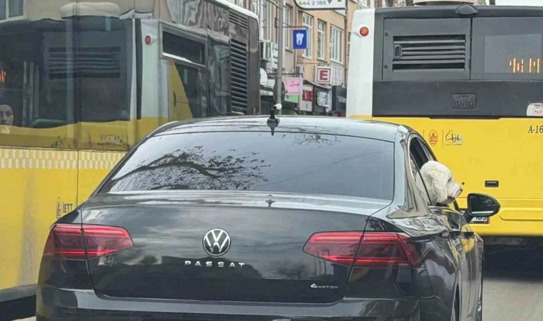Üsküdar’da AK Parti MKYK Üyesi ve 2014-2024 Dönemi Üsküdar Belediye