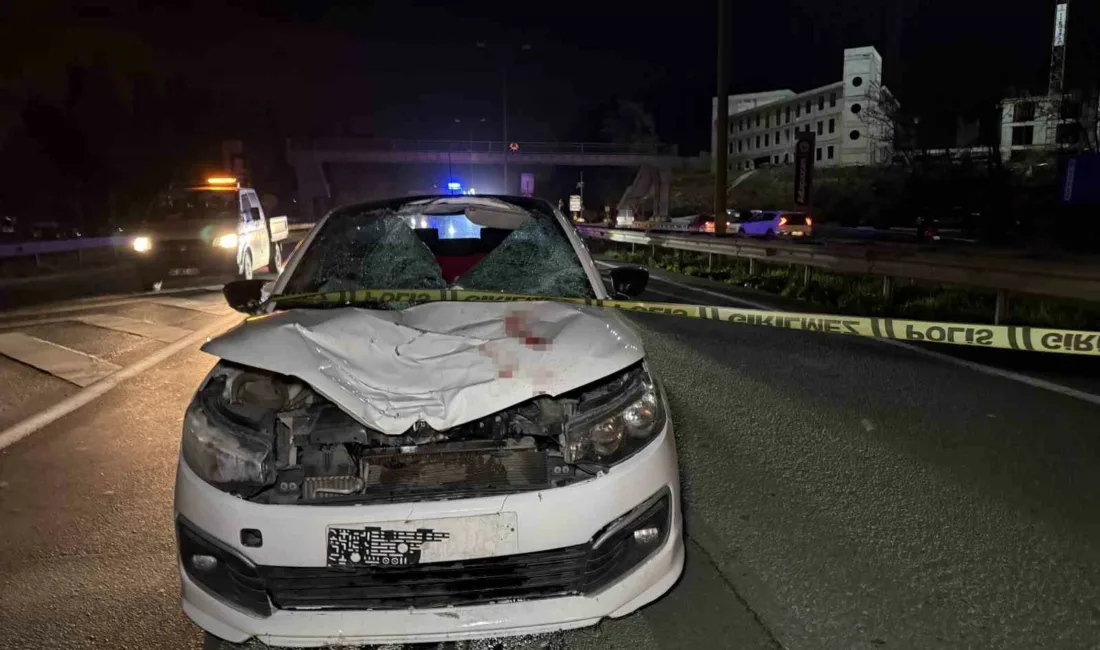 Sakarya’nın Arifiye ilçesi D-100 kara yolunda üst geçide yaklaşık 20