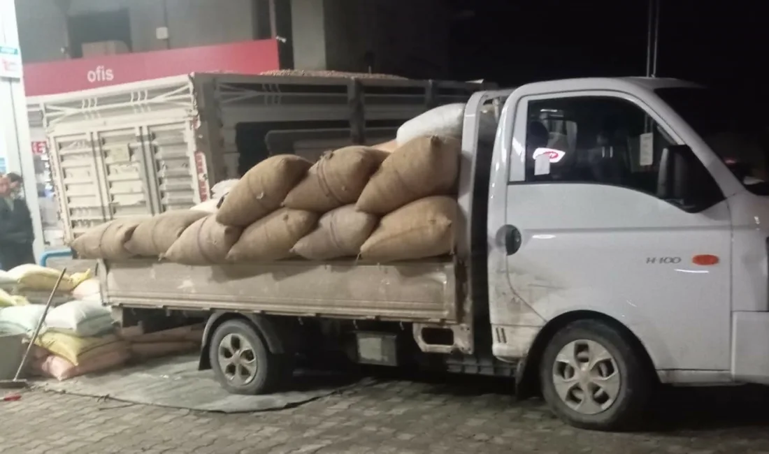 Zonguldak’ın Alaplı’da serbest piyasada fındık fiyatları yükselişe geçti. Yaklaşık 10