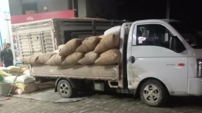 Zonguldak’ın Alaplı’da serbest piyasada fındık fiyatları yükselişe geçti. Yaklaşık 10