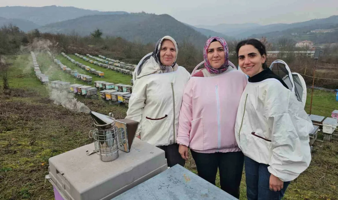Zonguldak’ın yaşayan Meliha Akosman, dededen kalma arıcılık mesleğini kızları Esra