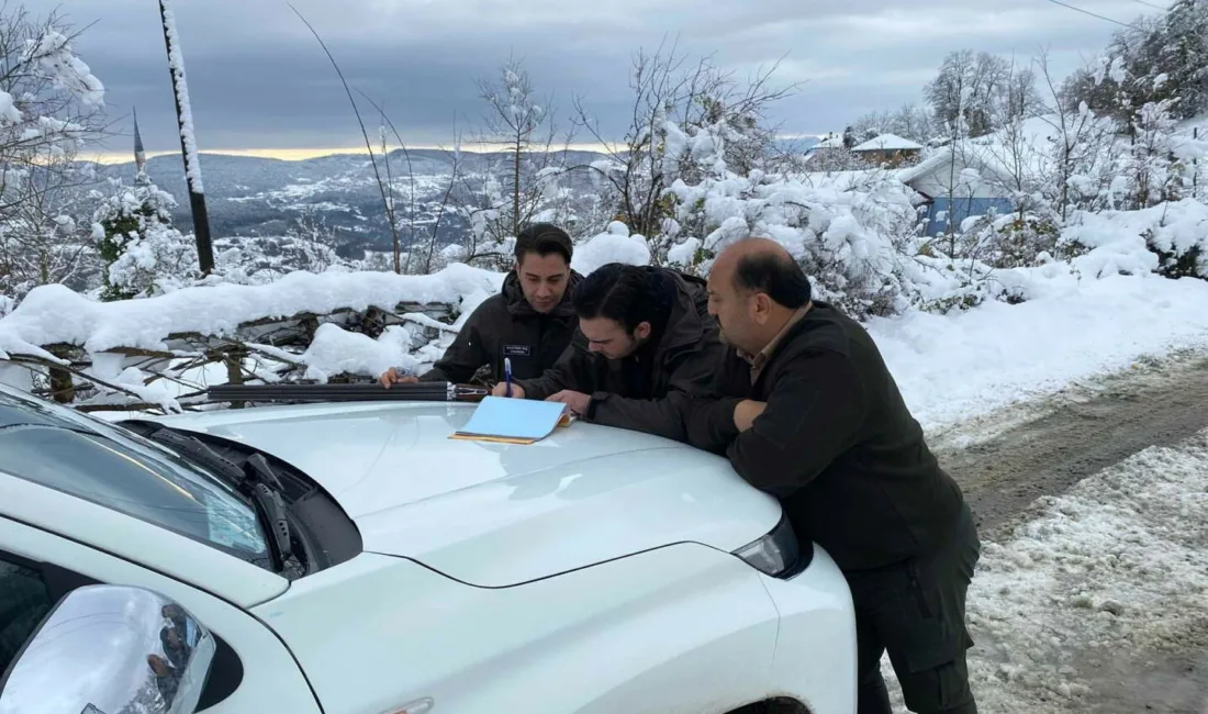 Zonguldak Doğa Koruma ve Milli Parklar (DKMP) Şube Müdürlüğü ekipleri,