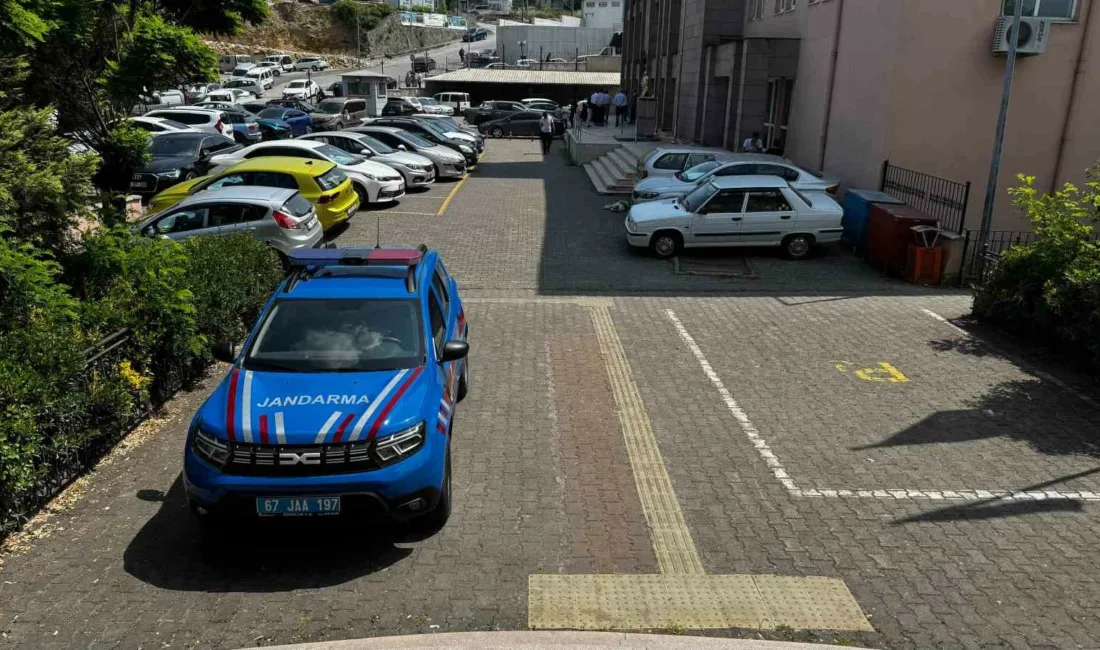 Zonguldak’ın Alaplı ilçesinde jandarma ekiplerince durdurulan araçta uyuşturucuyla yakalanan 1