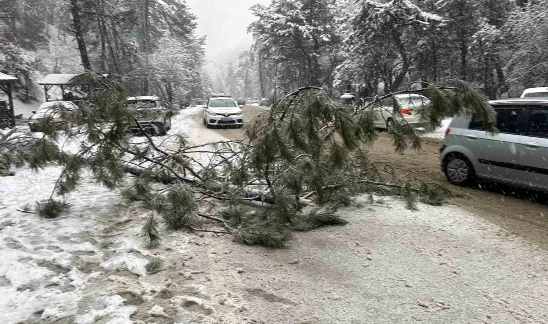 Ankara’nın Kızılcahamam ilçesinde kar yağışı etkisini sürdürürken, Soğuksu Milli Parkı’nda