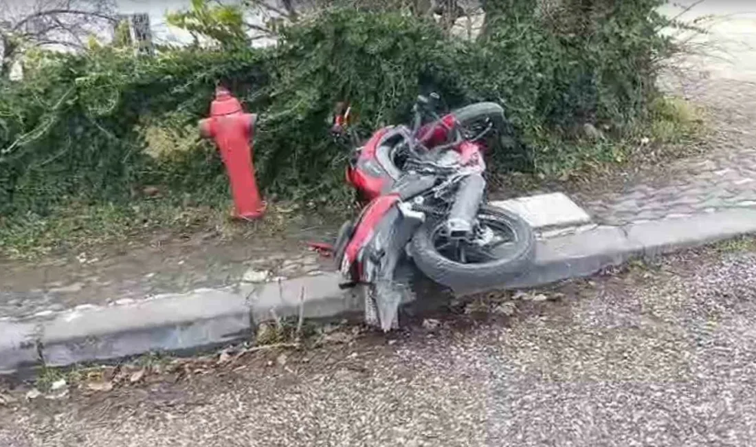 Ankara’da bir motosiklet sürücüsü, aniden yola çıkan köpeğe çarpmamak isterken