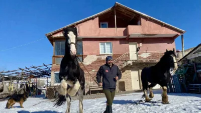 Ankara’nın Çubuk ilçesinde yaşayan Özgür Peştanlı; kurtlardan köpeklere, atlardan eşeklere