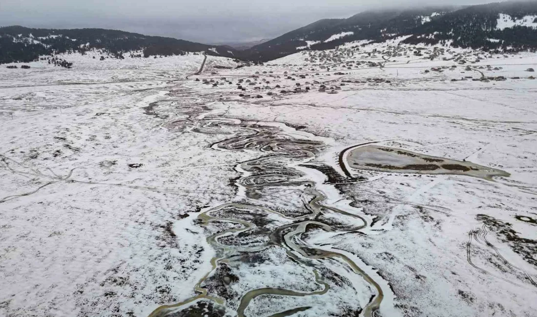 Ankara’nın Çamlıdere ilçesindeki Benli Yaylası, Karadeniz’i aratmayan menderesleri ve geniş