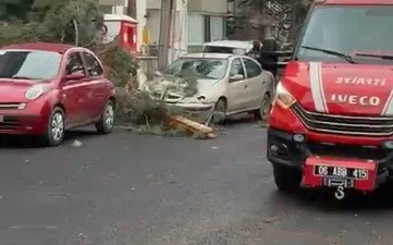 Ankara’nın Beypazarı ilçesinde fırtına sebebiyle bir ağaç otomobilin üzerine devrildi.
