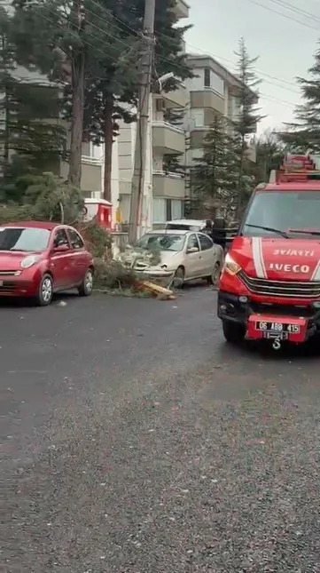 Ankara’nın Beypazarı ilçesinde fırtına sebebiyle bir ağaç otomobilin üzerine devrildi.